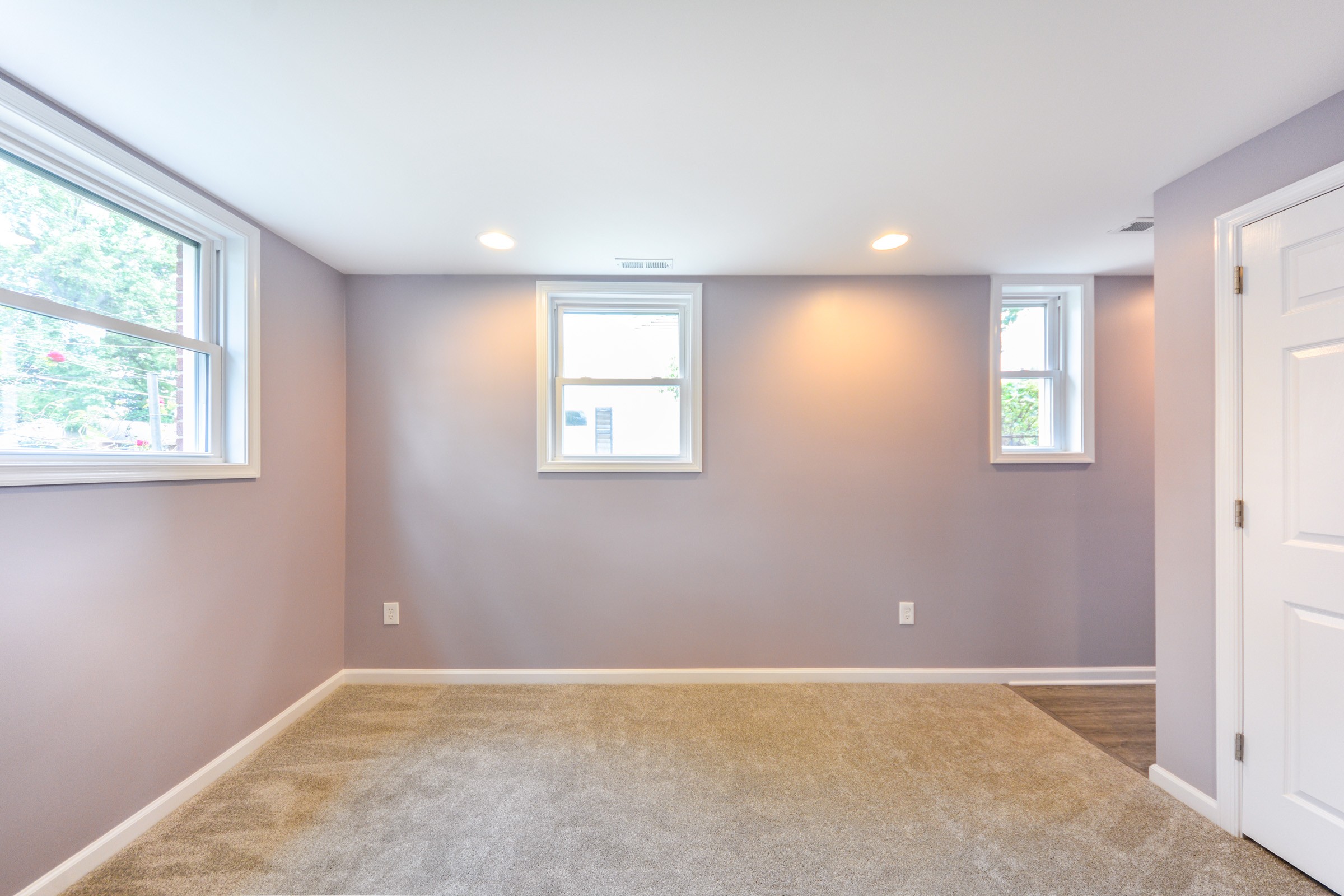 Basement Finishing / Remodeling Project Annandale, VA